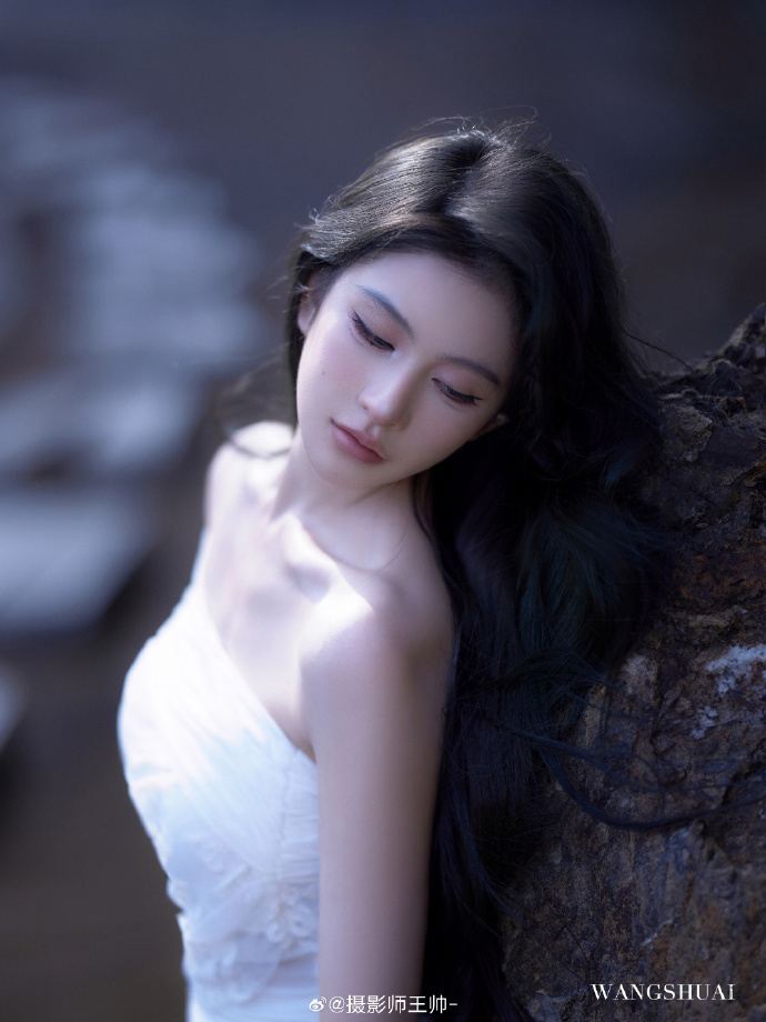 陈情令 封面