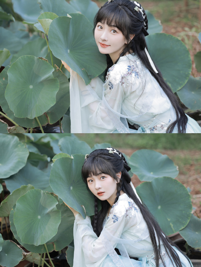 信条 封面